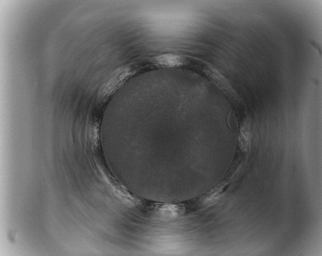 X0000102040330200807251420