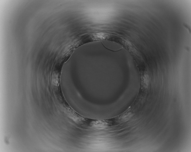 X0000102040331200807251420