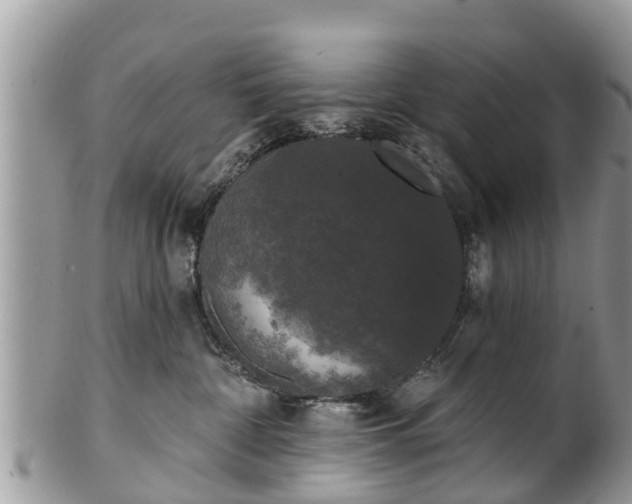 X0000102040332200807251420