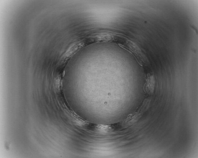 X0000102040333200807251420