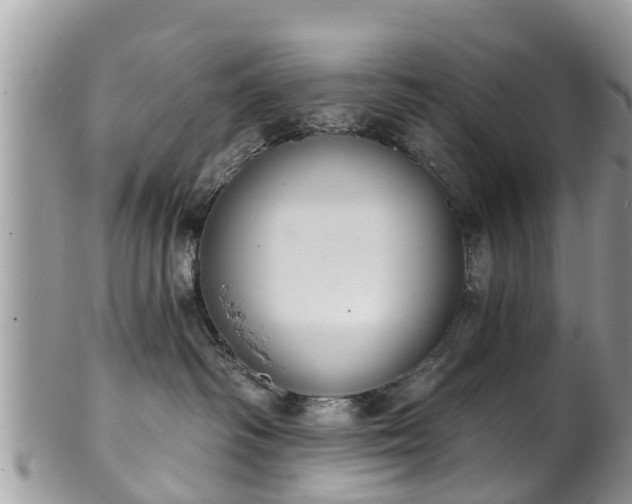 X0000102040334200807251420