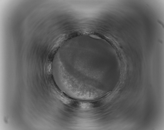 X0000102040336200807251420