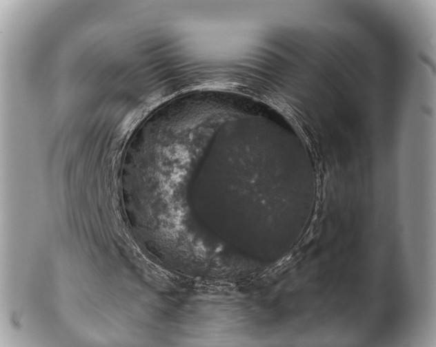 X0000102040337200807251419