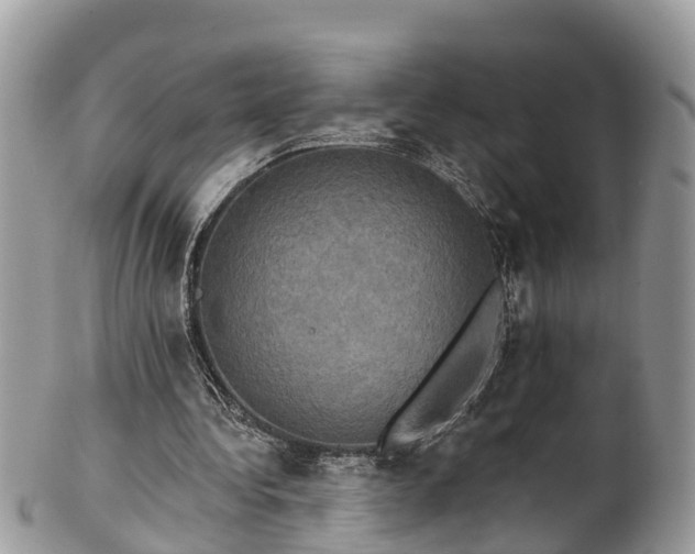 X0000102040340200807251419