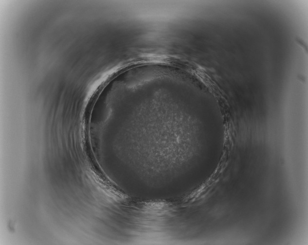 X0000102040342200807251419