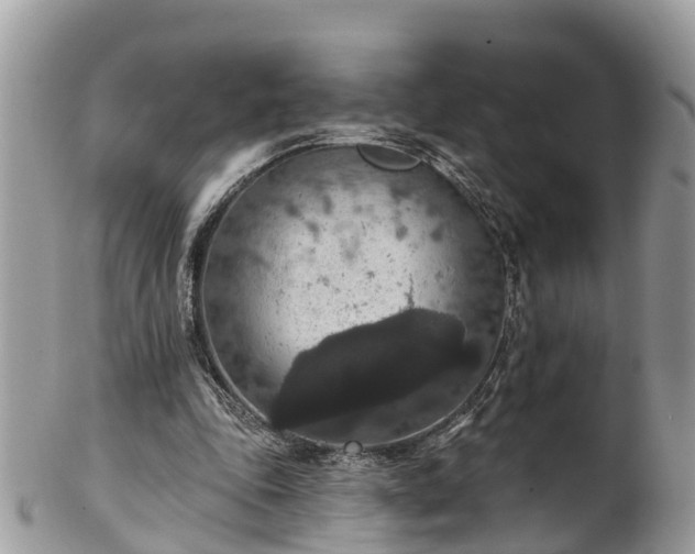 X0000102040343200807251419