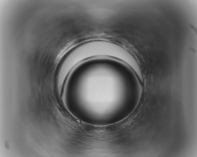 X0000102040344200807251419