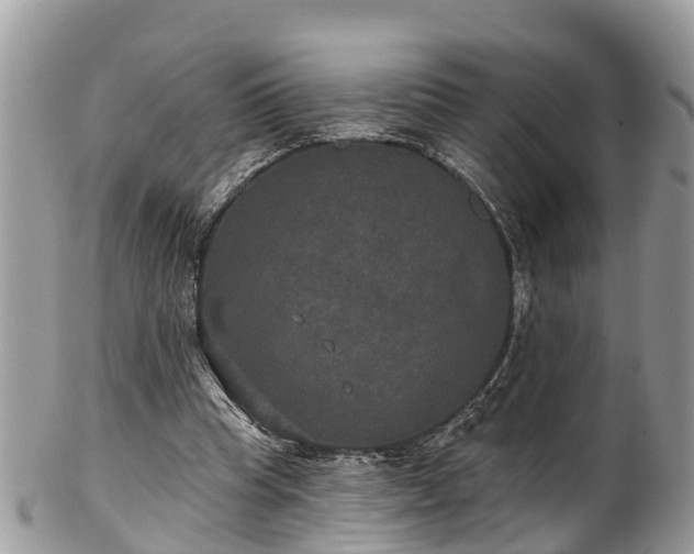 X0000102040345200807251419