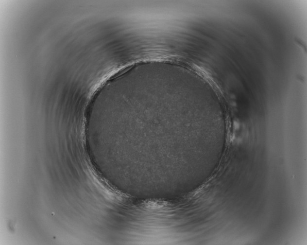 X0000102040346200807251419