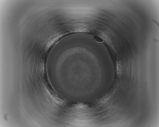 X0000102040348200807251419