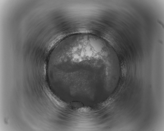 X0000102040350200807251419