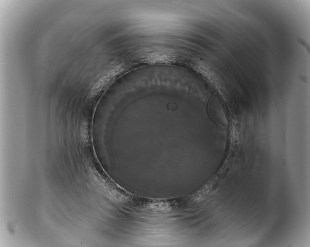 X0000102040353200807251419