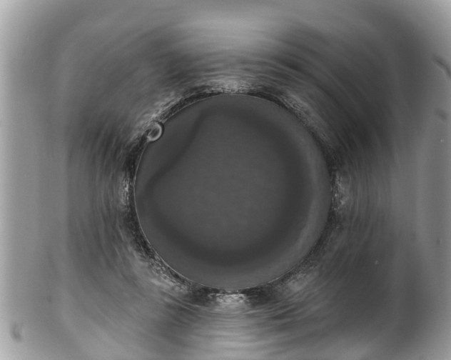 X0000102040355200807251419