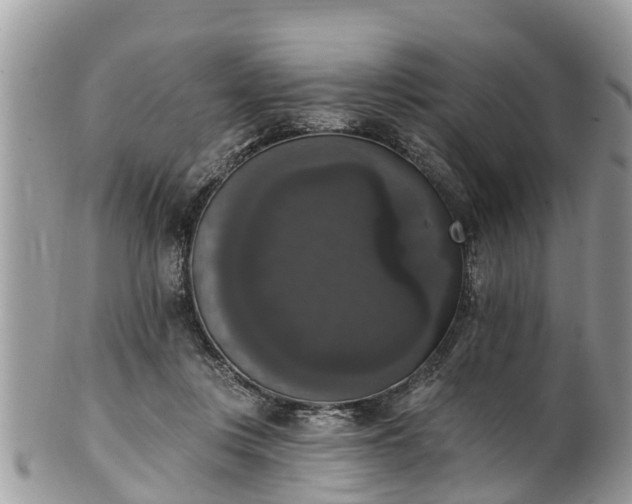 X0000102040359200807251419