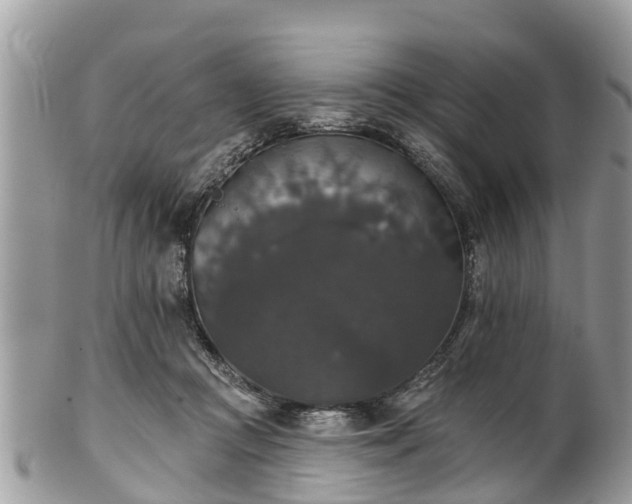 X0000102040361200807251419