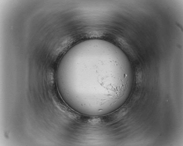 X0000102040362200807251419