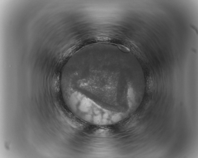 X0000102040364200807251419