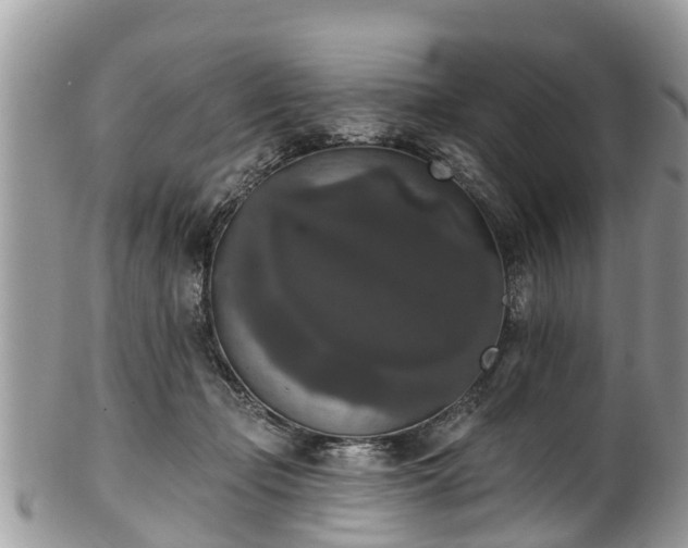 X0000102040365200807251420