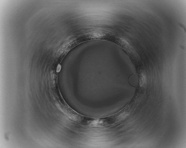 X0000102040366200807251420