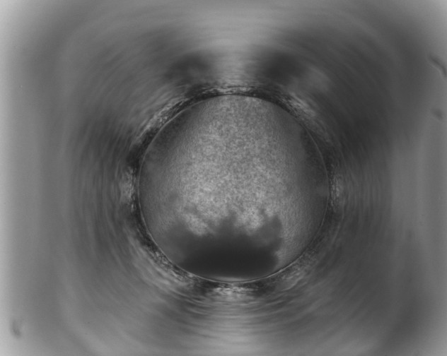 X0000102040367200807251420