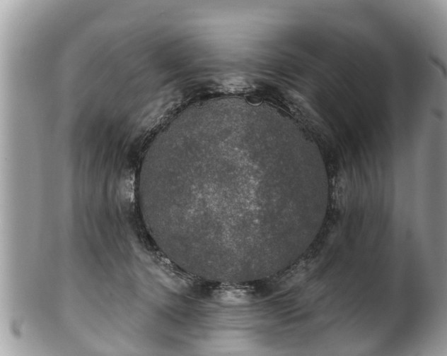 X0000102040368200807251420