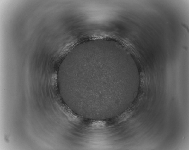 X0000102040369200807251420