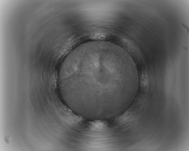 X0000102040370200807251420