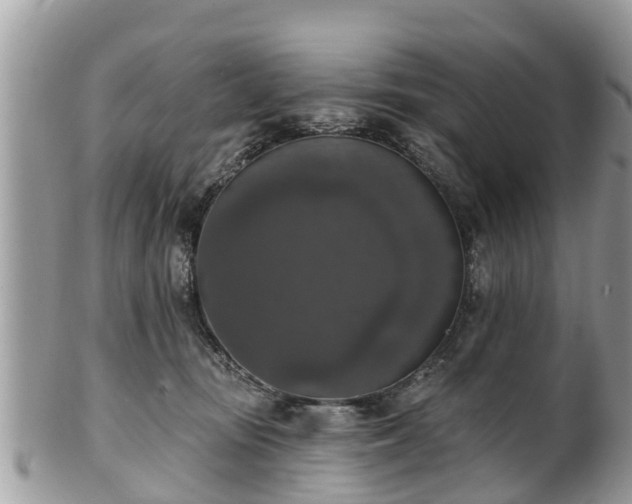 X0000102040371200807251420