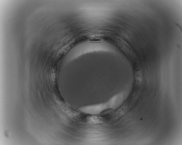 X0000102040372200807251420