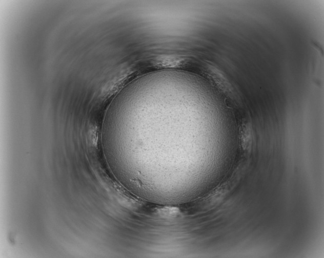 X0000102040374200807251420