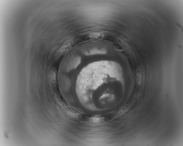 X0000102040375200807251420