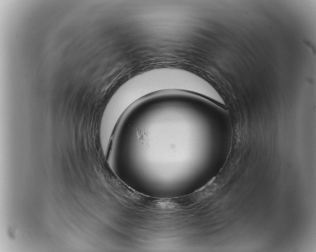 X0000102040376200807251420