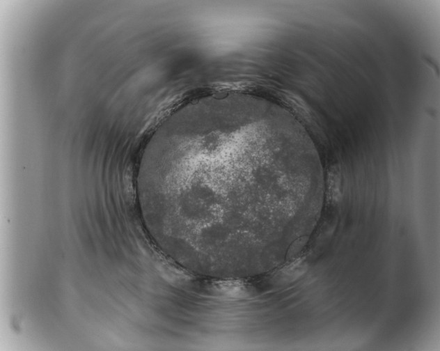 X0000102040377200807251420