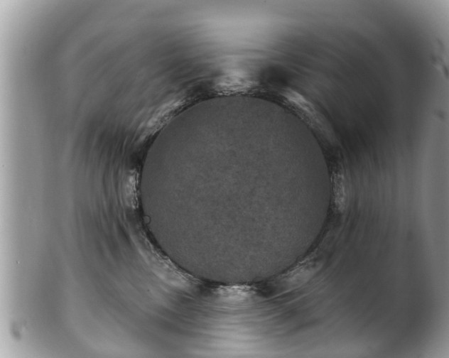 X0000102040378200807251420