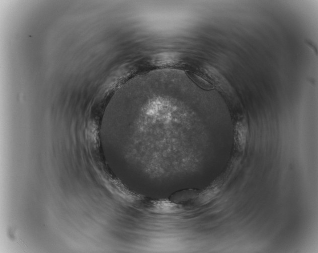 X0000102040380200807251420