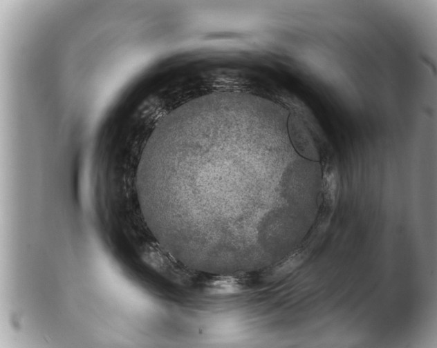 X0000102040381200807251420