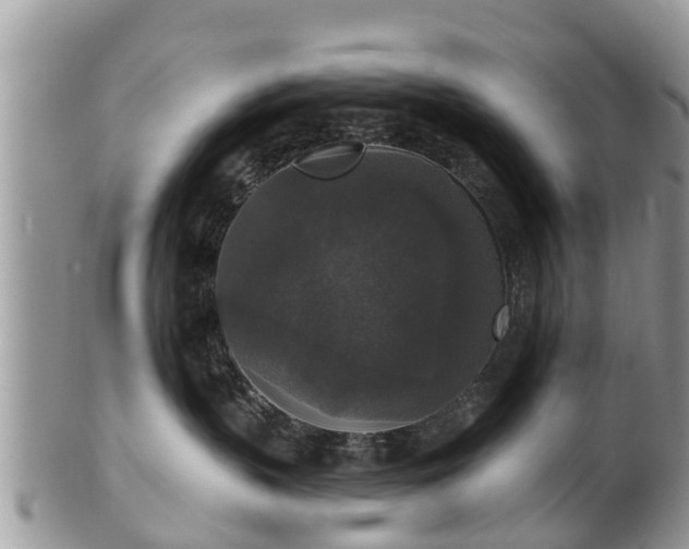 X0000102040383200807251420