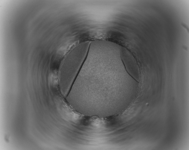 X0000102040384200807251420