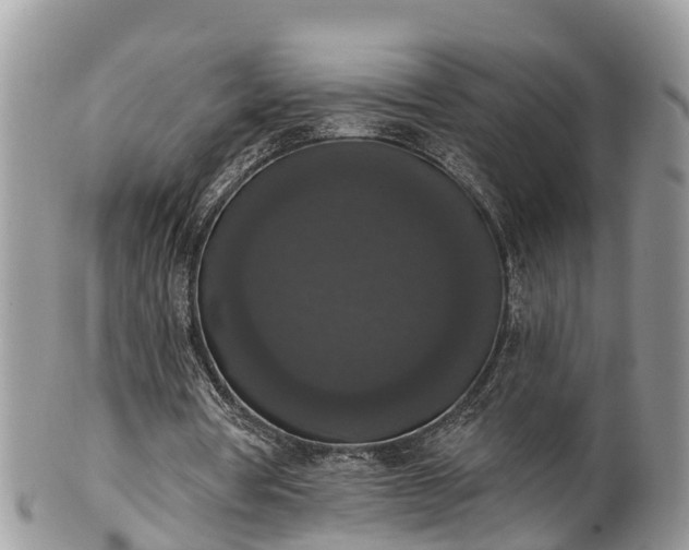 X0000102040386200807251419