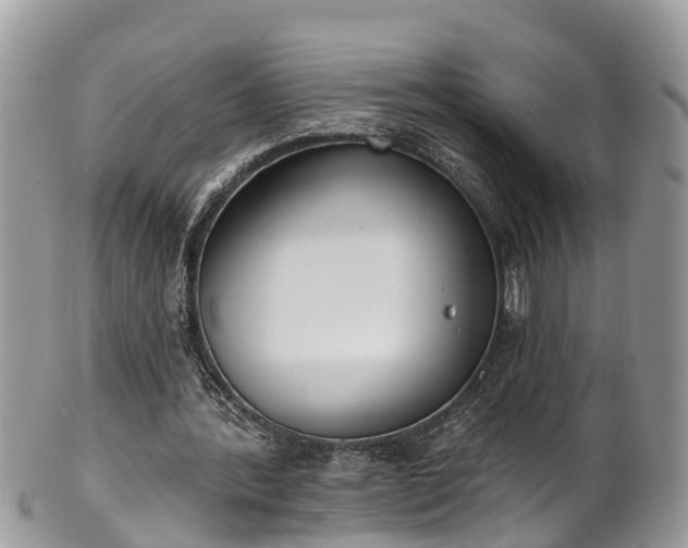 X0000102040388200807251419