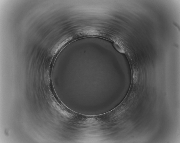 X0000102040390200807251419