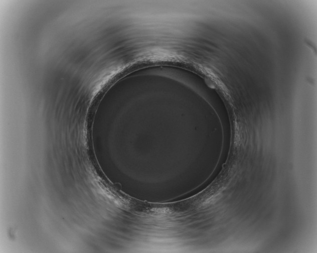 X0000102040391200807251419