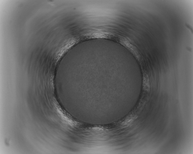 X0000102040394200807251419