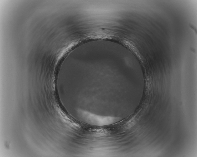 X0000102040395200807251419