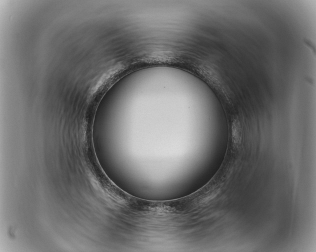 X0000102040396200807251419