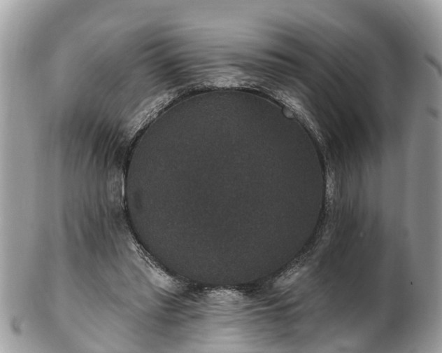 X0000102040397200807251419