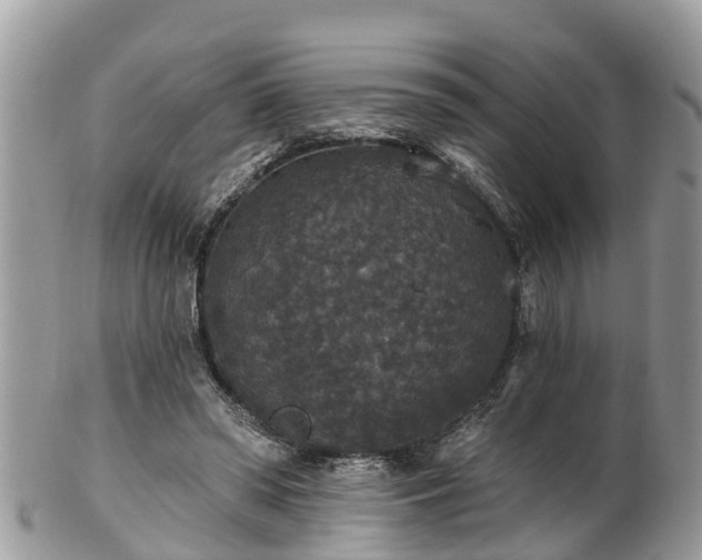 X0000102040398200807251419