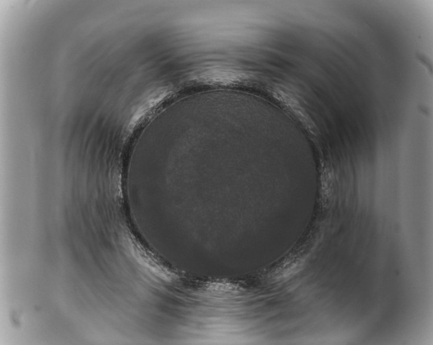 X0000102040399200807251419