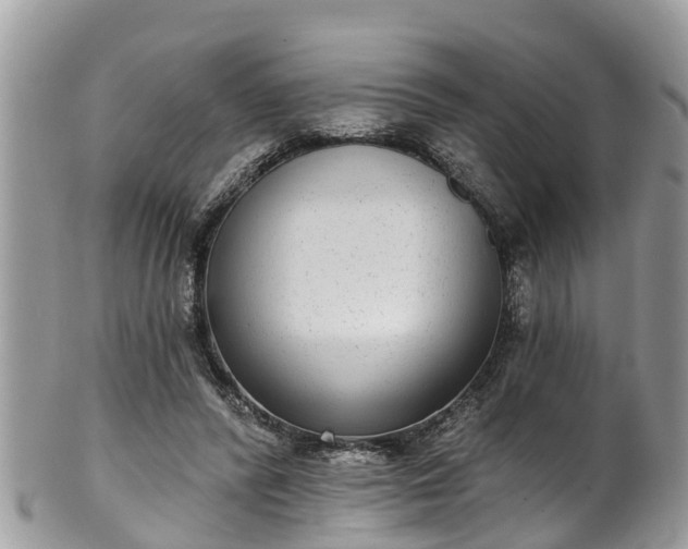 X0000102040400200807251419