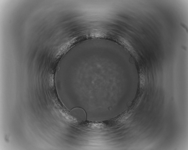 X0000102040401200807251419